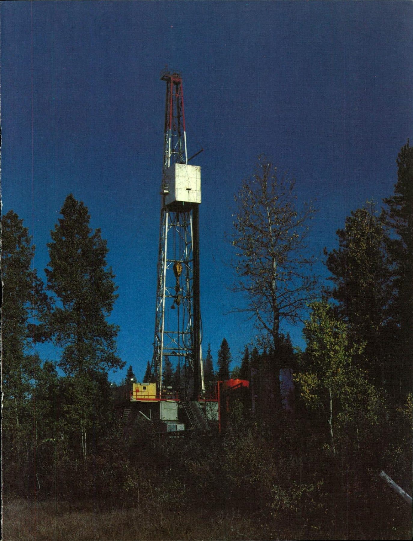 White-and-yellow rig standing in autumn spruce.