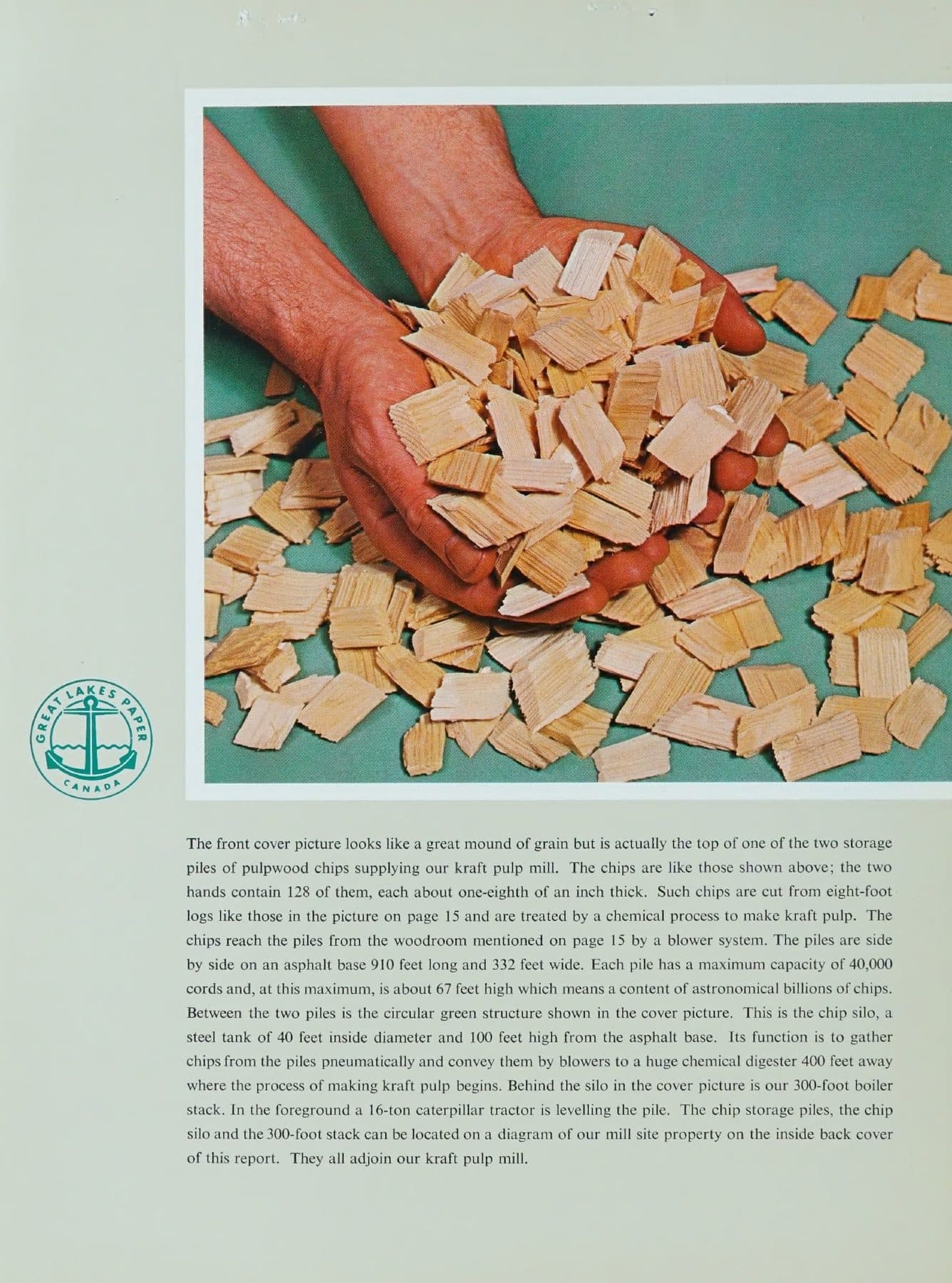 Gloved hands cupping wood chips.